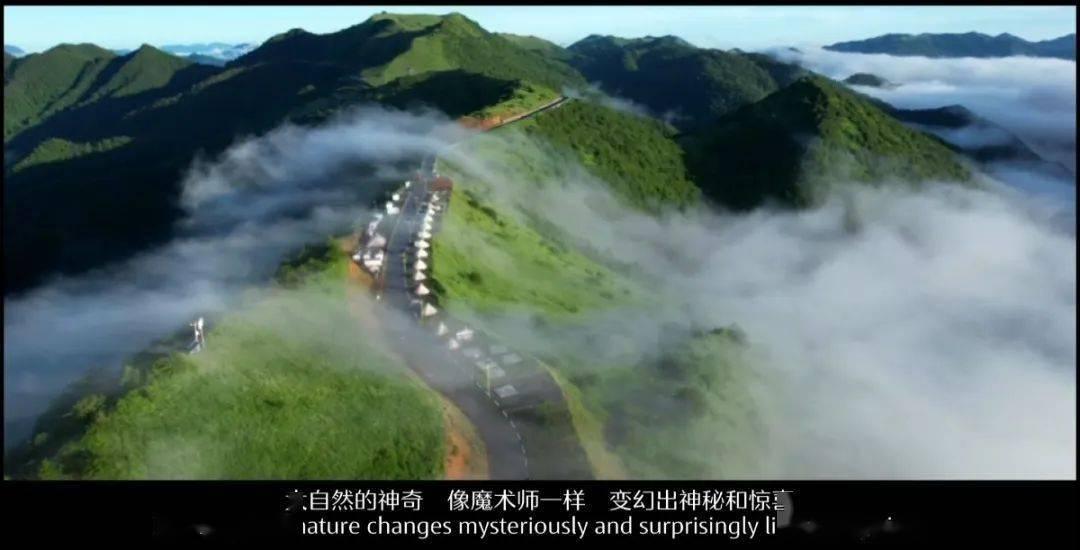春雨直播app